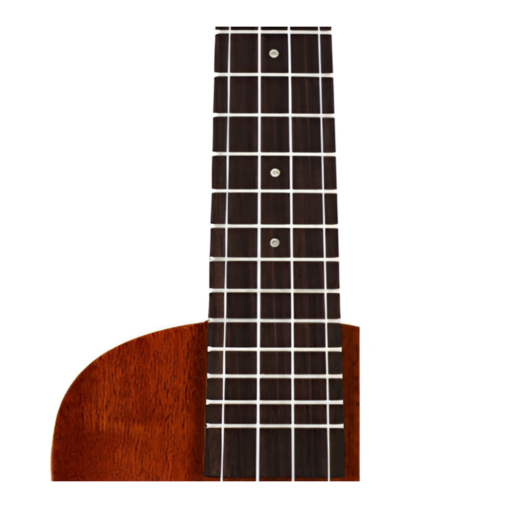 Kala KA-C Satin Mahogany 4 Strings Concert Ukulele with Walnut Fretboard