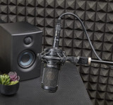 Audio Technica Pro At2035 Cardioid Condenser Microphone Includes Custom Shock Mount - Black