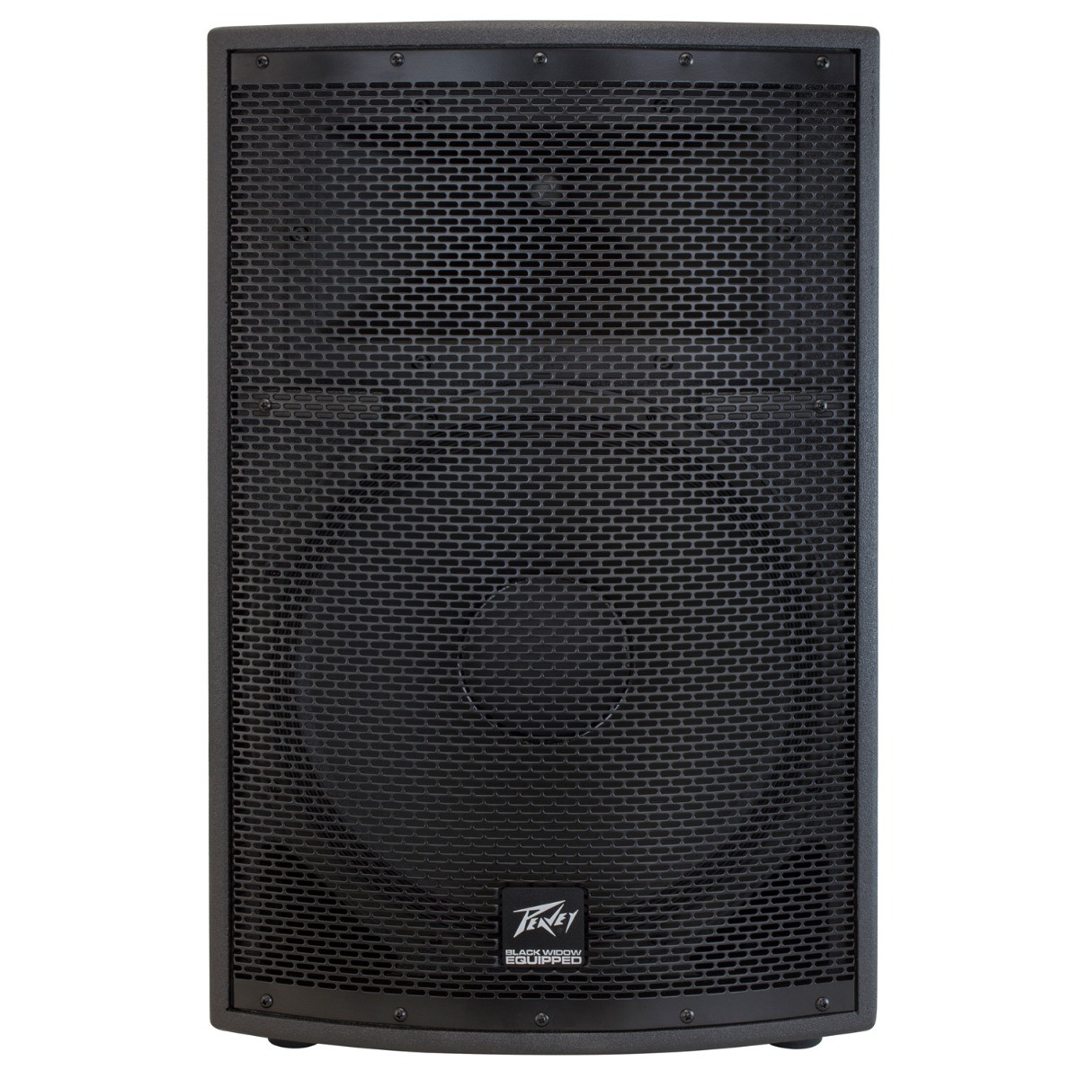 Peavey SP 2 PA Speaker
