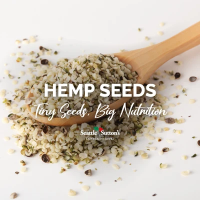 What You Need To Know About Hemp Seeds