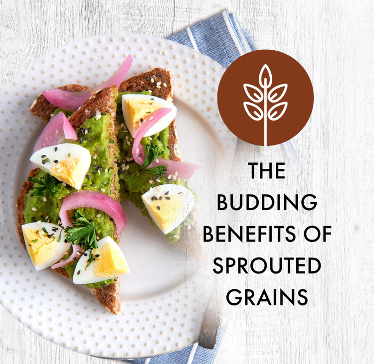 ​The Budding Benefits of Sprouted Grains