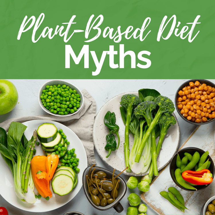 Uncovering the Truth of Plant-Based Diets