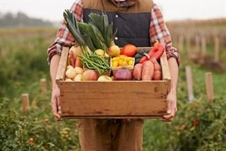 Does “Fresh” Always Mean Fresh?