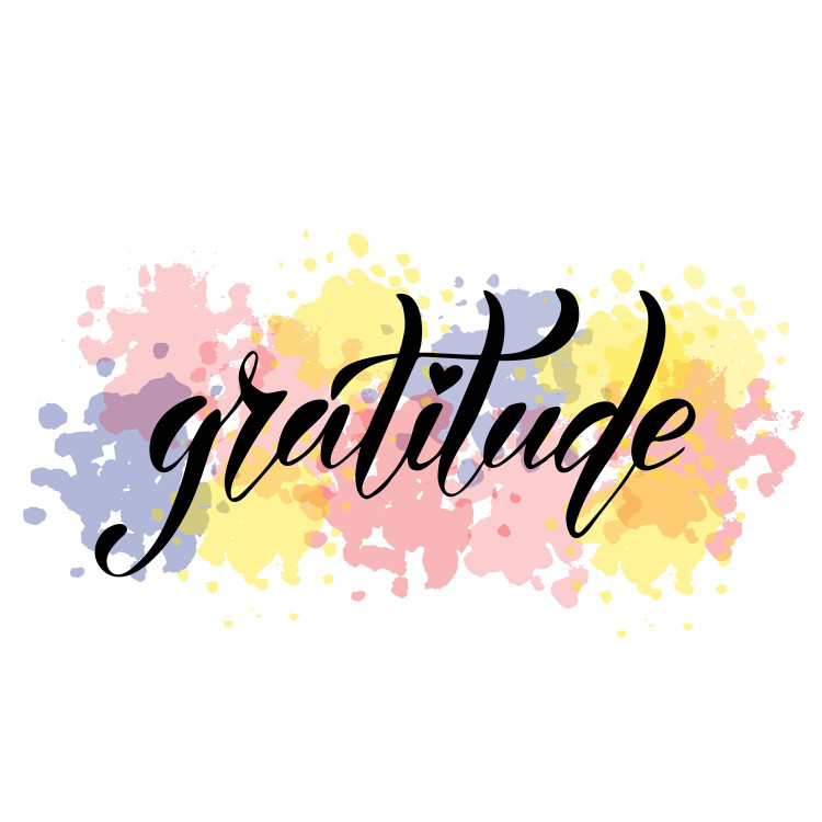 Stories of Gratitude from Our SSHE Family