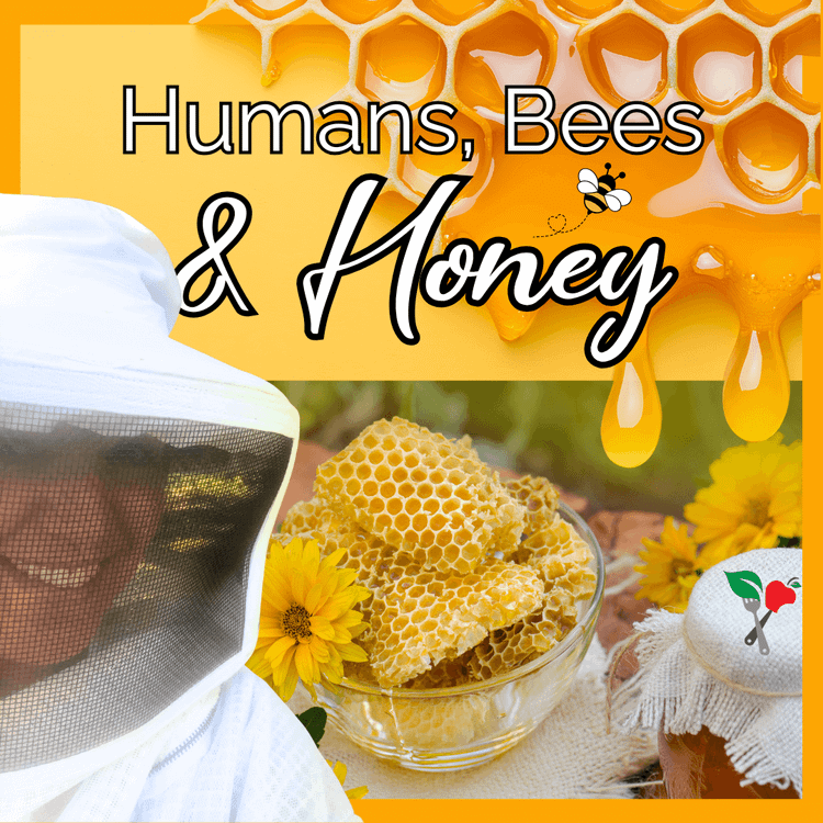 Bee Well: Sweet Secrets of Honey and the Healing Power of the Hive