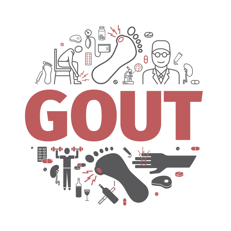 What is the Gout Diet?