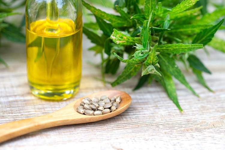 What You Need To Know About Hemp Seeds
