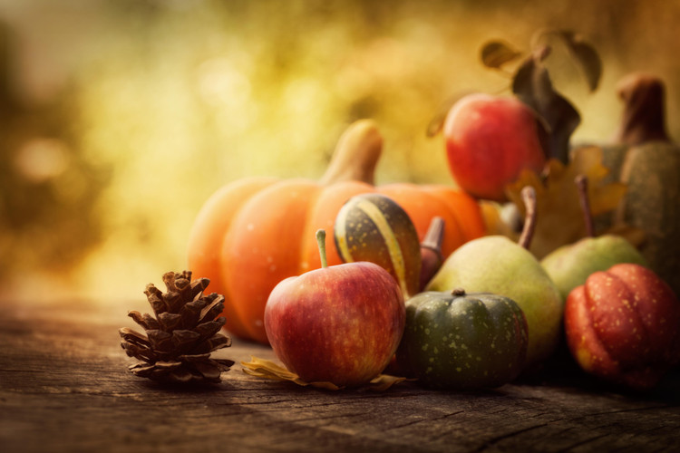 Seattle Sutton’s List of Things to Be Thankful For 