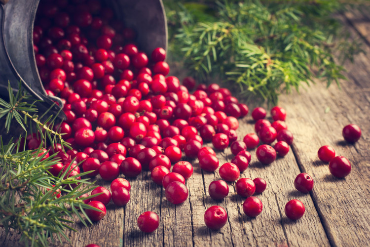 The Health Benefits of Cranberries