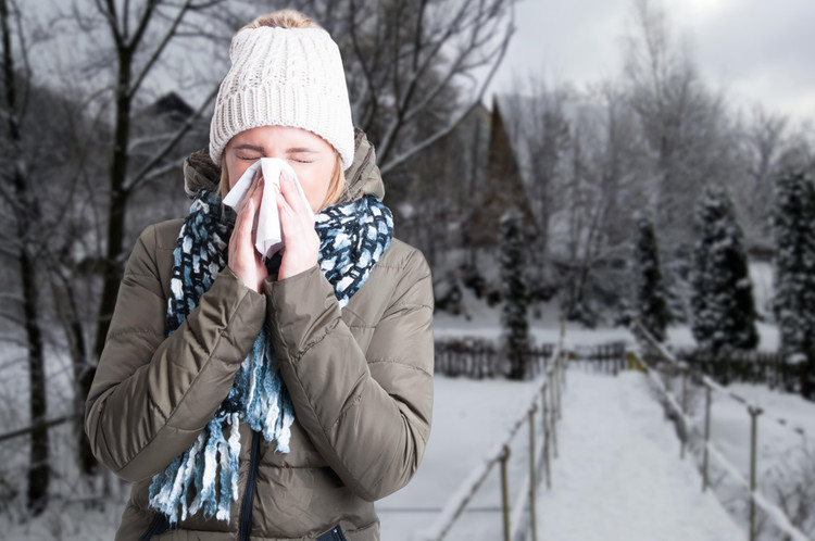 Cold and Flu Fighting Foods