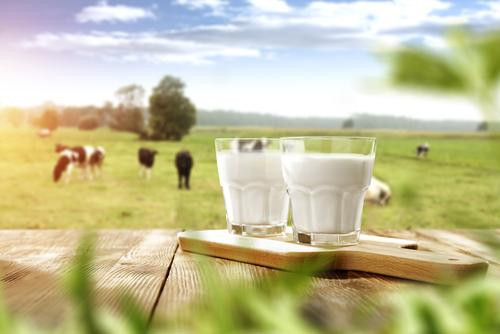 GUEST BLOG: The Power of Dairy