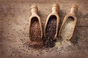 Low Carb Diets Tied to Earlier Death