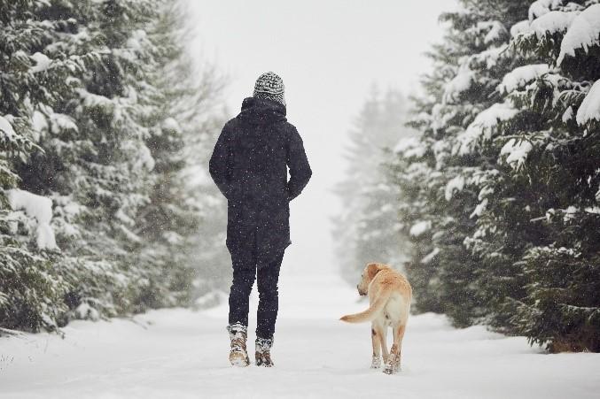 12 Reasons to Start a Walking Routine