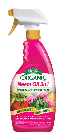 NEEM OIL ORGNC 24OZ