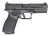 Echelon Night Sights 4.5"