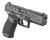 Echelon Night Sights 4.5"
