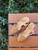 Farbi Wedge with Covered Toe Tan