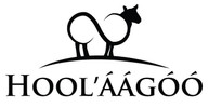 Hoolaagoo