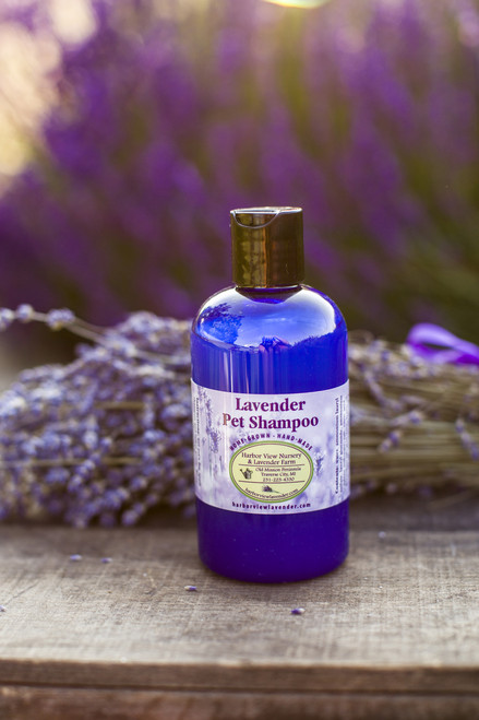 Lavender Pet Shampoo, 8 ounces