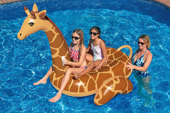 Giant Giraffe Ride on - Actual Photo