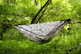 A Complete Look at the Chameleon Hammock