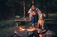 Camping With Your Dog: What To Bring & Tips