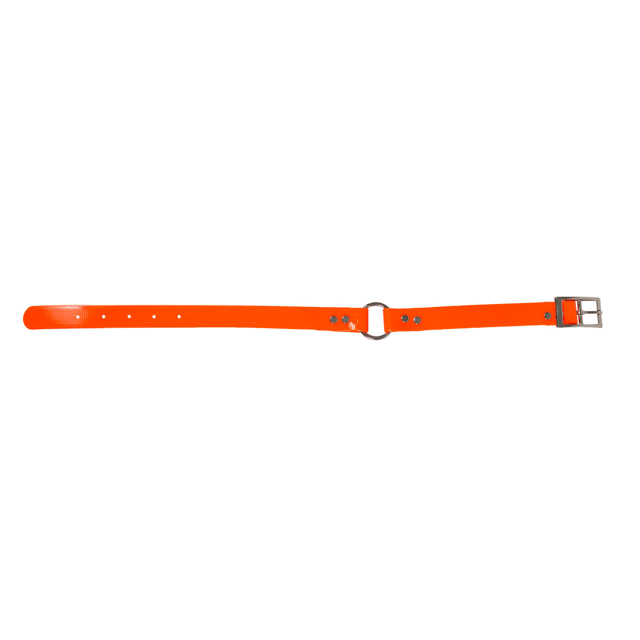 3/4" O-Ring Beagle Collar