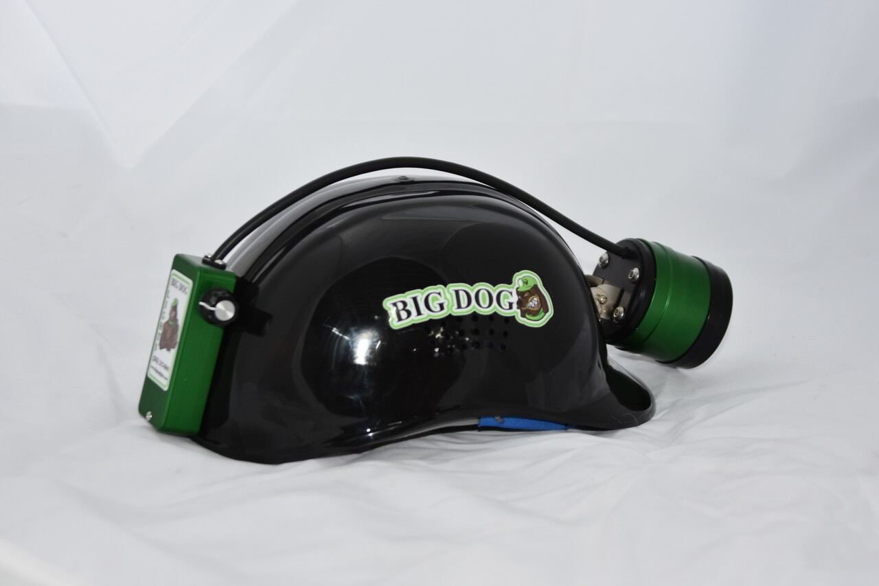 Big Dog Genesis Cap Light