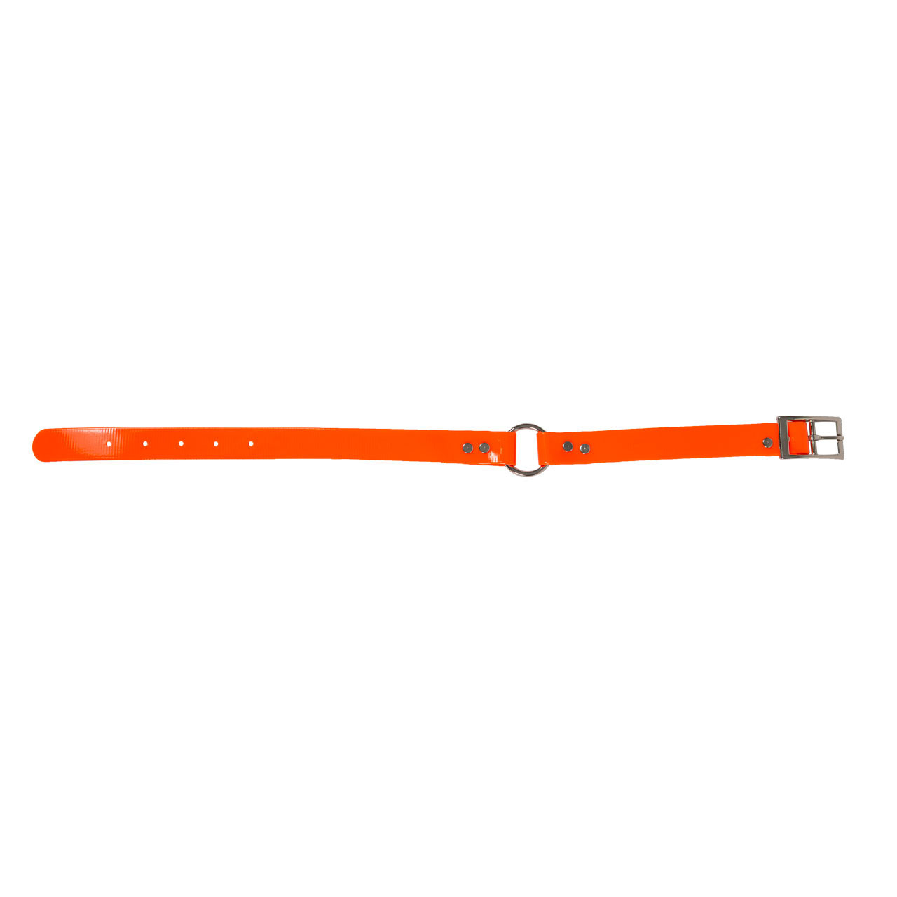 1" O-Ring Hound Collar (Non-Reflective)