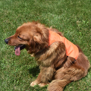 Dog Chest Protector Vest