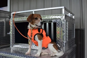 Brush Buster Dog Vest
