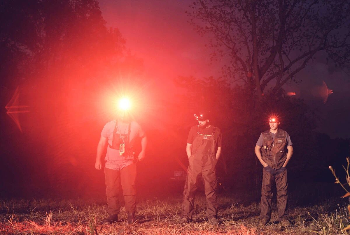 Built for the Nite Hunt