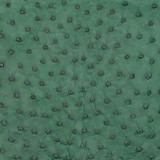 Ostrich  - French Cyprus  - Matte