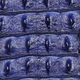 Niloticus - Backstrap - Purple 