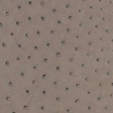 Ostrich - Tapestry Grey  - Matte