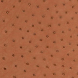 Ostrich - Rum Brown - Matte