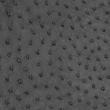 Ostrich - Gunmetal - Matte