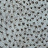 Ostrich - Mist - Bruciato