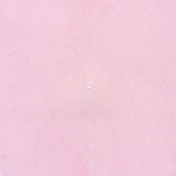 Stingray - Blush - Sanded 
