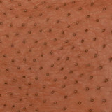 Ostrich - Almond - Matte