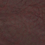 Ostrich - Bordeaux SE - Matte