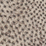 Ostrich - R,  Quartz - Matte