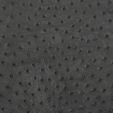 Ostrich - Seal Grey - Matte