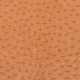 Ostrich - Mango MF - Metallic