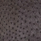 Ostrich - Raisin CC - Shiny