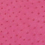 Ostrich - Fuchsia  - Matte
