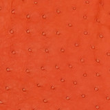 Ostrich - Orange - Matte