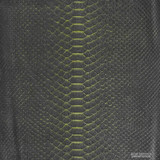 Molurus - B.C  - 430-2