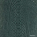 Molurus - B.C  -  547-3