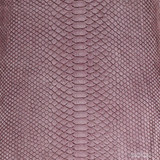 Molurus - B.C  -  549-3